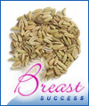 Fennel Seed